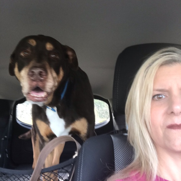 Meet Pam, a money savvy mama - Picture 3 of 16